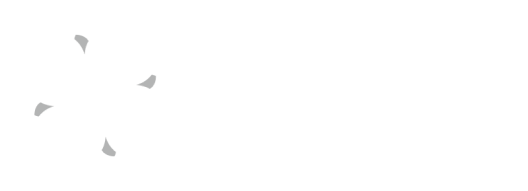 logo sdzp